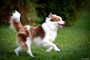 Julien SESIA - Julien-Sésia-Photographie©