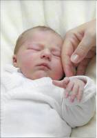 Jean Pierre GUERIN - AMPLITUDE-PHOTO