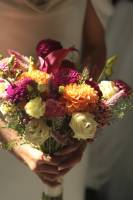 Dimitri ARNAUD - JAGUAR PROD